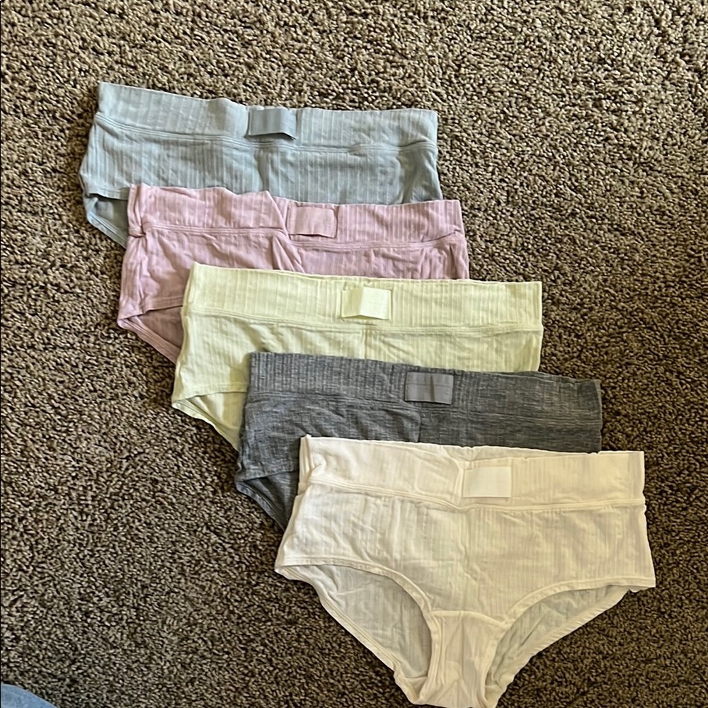 Danskin Intimates Ribbed Gray and Cream Briefs